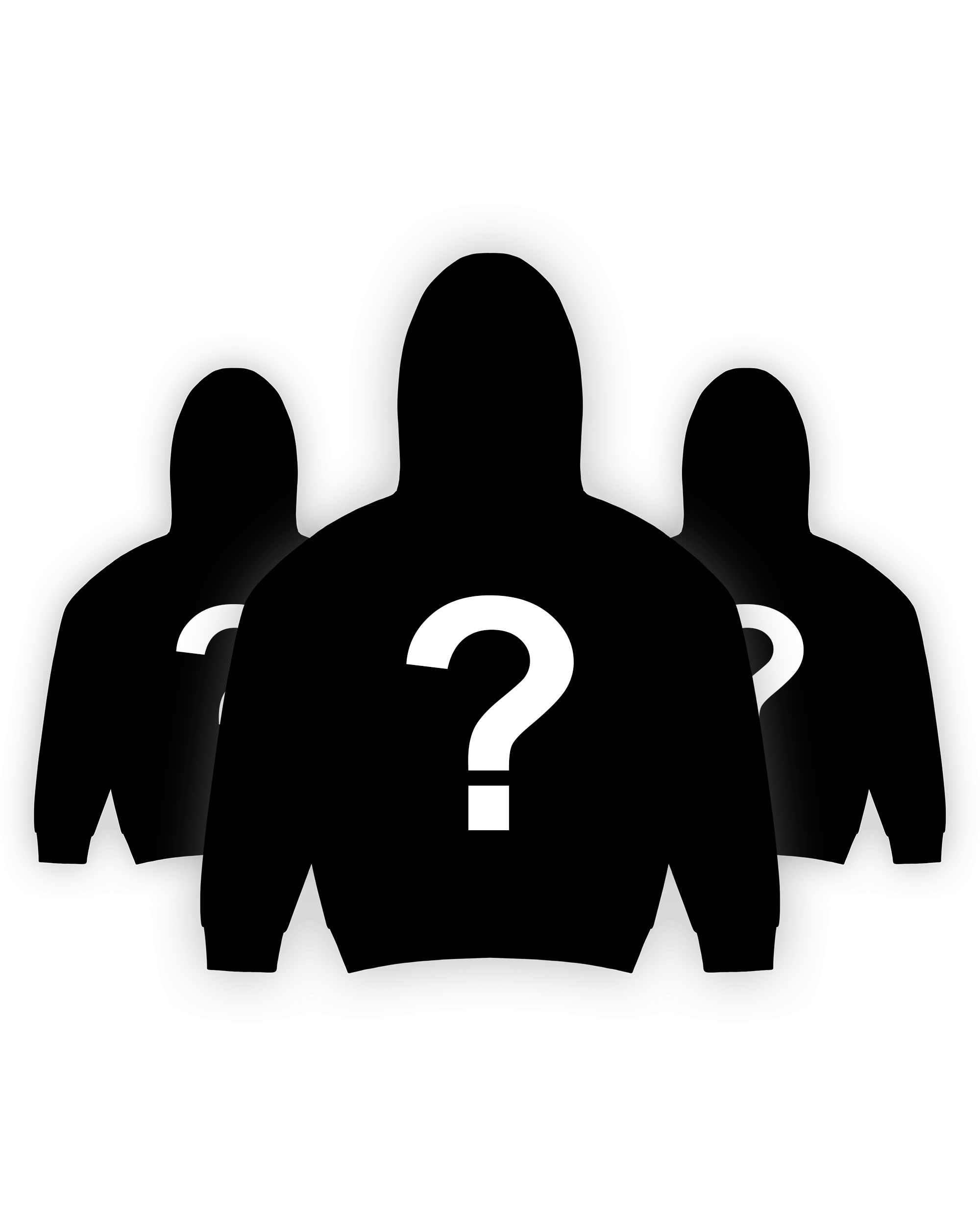 MYSTERY HOODIE